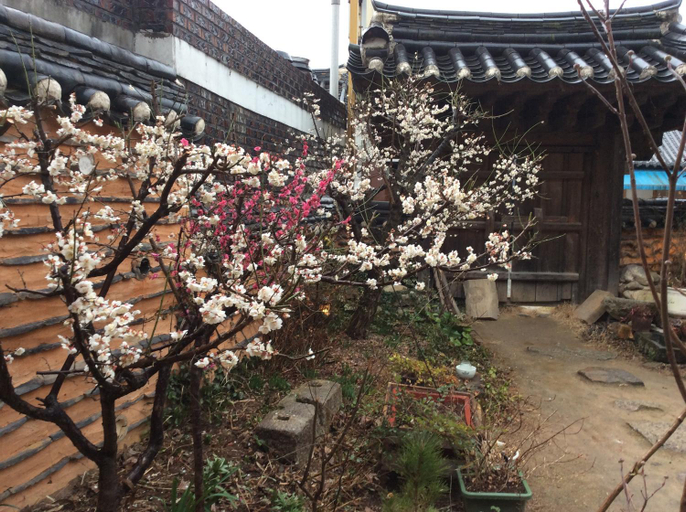 Others 2, Yangsajae, Jeonju