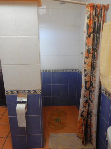 Bathroom 4, Posada Bugambilias, Catemaco