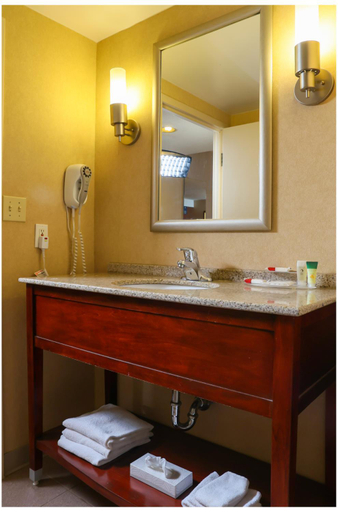 Bathroom 3, Ramada by Wyndham Niagara Falls/Fallsview, Niagara