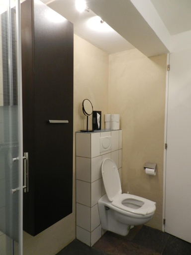 Bathroom 1, Blue Wall BnB, Brugg