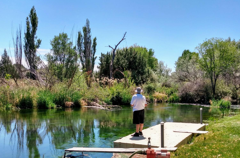 Others 4, Billingsley Creek, Gooding