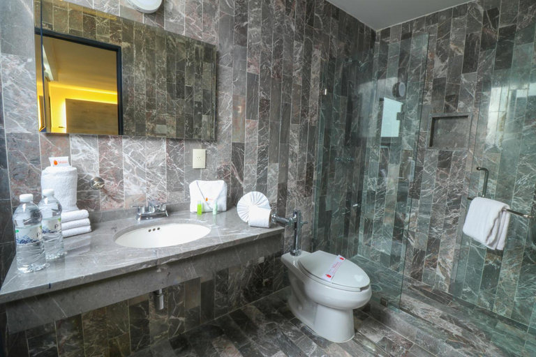 Bathroom 4, Mallorca Hotel, Mexico City