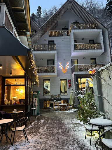 Exterior & Views 2, Borjomi Underwood Hotel, Borjomi