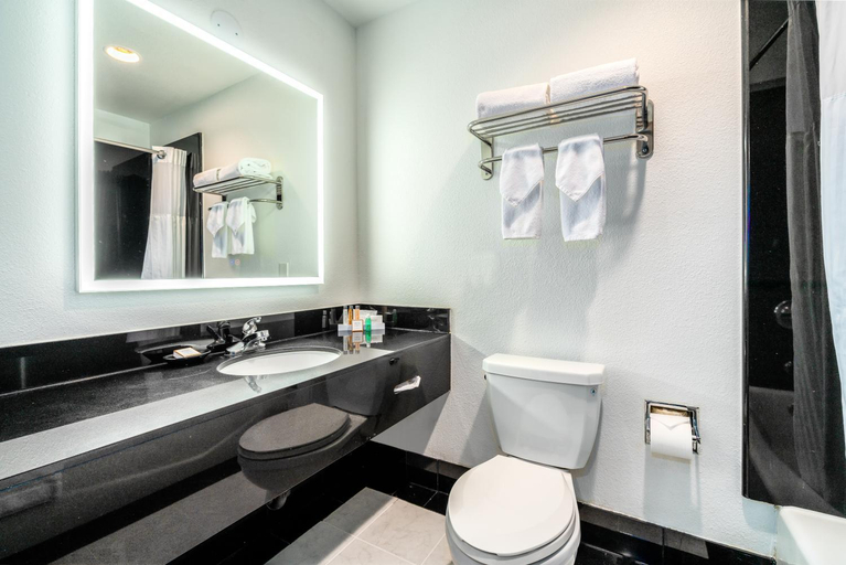 Bathroom 4, Century Park Hotel, Los Angeles