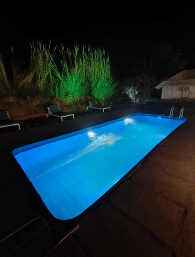 Sport & Beauty 1, Sshubh Leopard Valley Ranthambhore, Sawai Madhopur