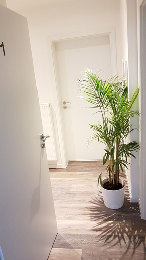 Ferienwohnung Busch, Ortenaukreis