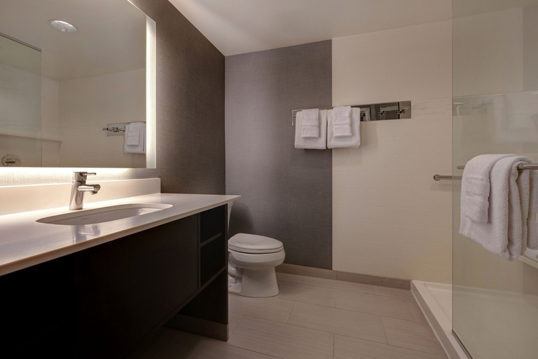Bathroom 5, Residence Inn Pullman, Whitman