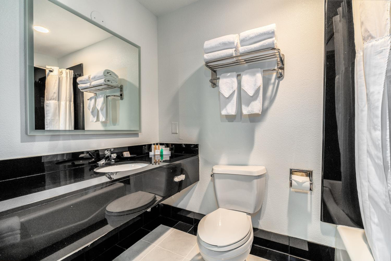 Bathroom 4, Century Park Hotel, Los Angeles