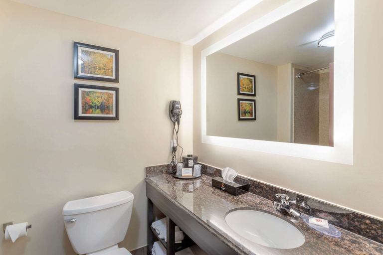 Bathroom 4, Comfort Inn Orange I-10, Orange