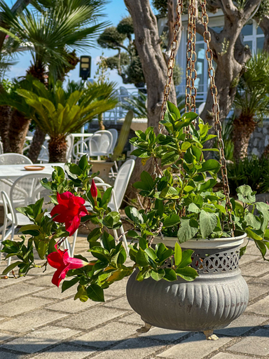 Exterior & Views 2, Hotel Villa Lubrense, Napoli