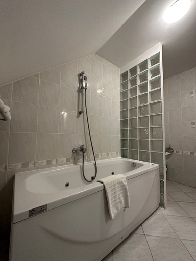 Bathroom 3, Aparthotel Gaja, Bled