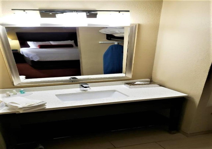 Bathroom 4, Quality Suites Nashville Airport, Davidson