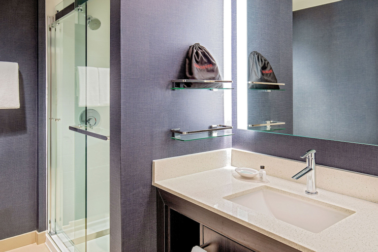 Bathroom 5, Residence Inn by Marriott Boston Cambridge, Cambridge