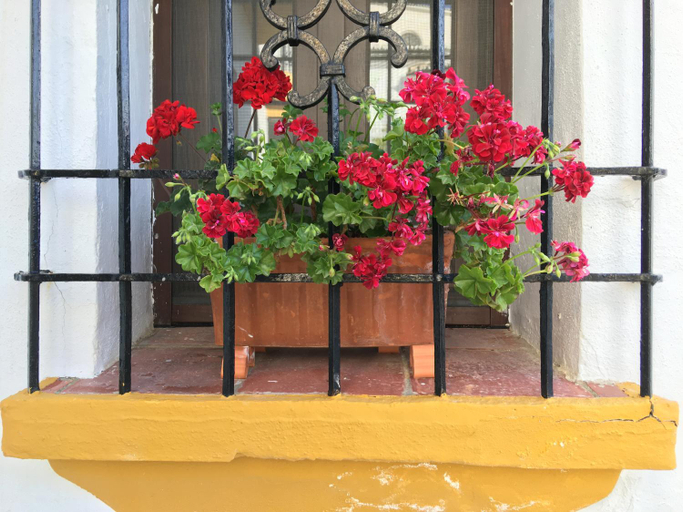 Others 2, La Escondida Ronda, B&B, Málaga