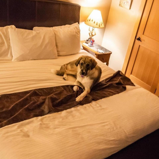 Bedroom 3, Twisp River Suites, Okanogan