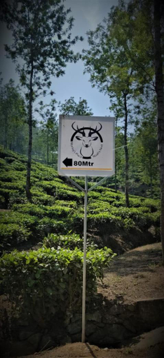 Others 5, Noahs Nest Tree house, Idukki