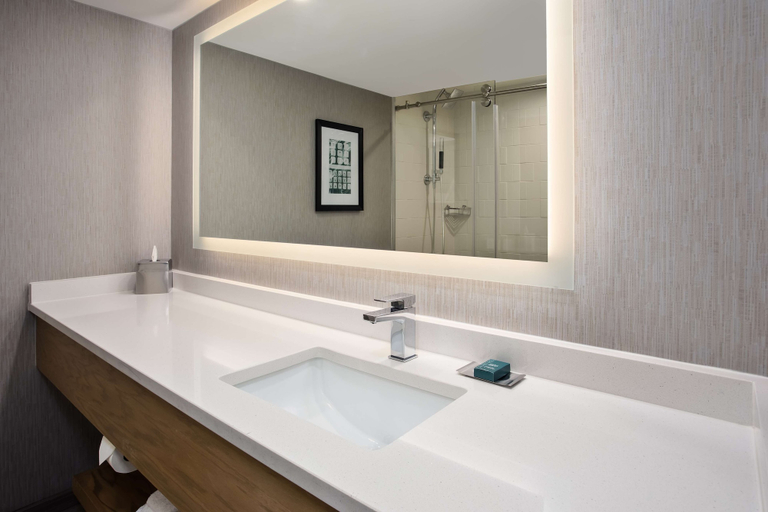 Bathroom 5, DoubleTree by Hilton Lansing, Ingham