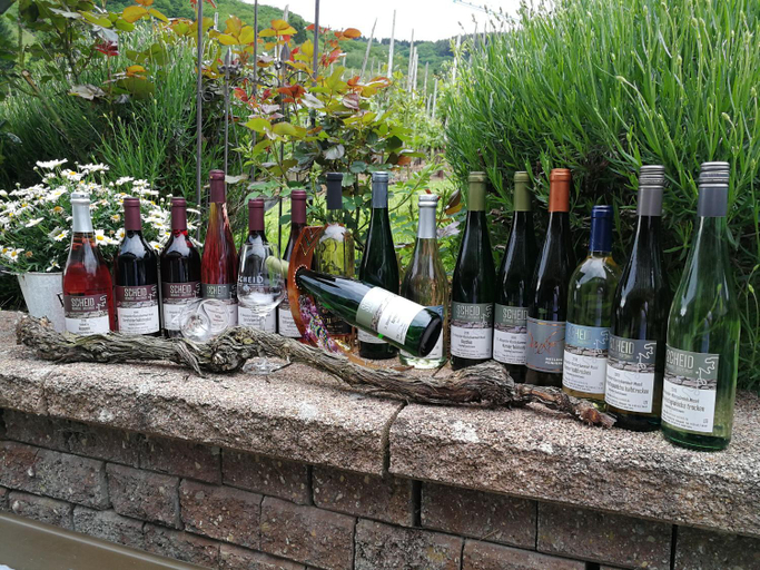 Food & Drinks 2, Wein und Gastehaus Scheid, Cochem-Zell