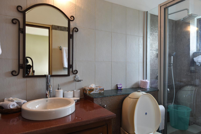 Bathroom 4, Sourenee Tea Estate, Darjiling