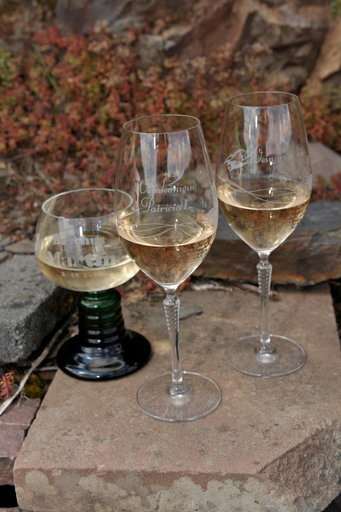 Food & Drinks 3, Wein und Gastehaus Scheid, Cochem-Zell