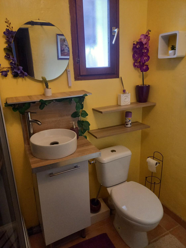 Bathroom 1, Le violet, Tarn