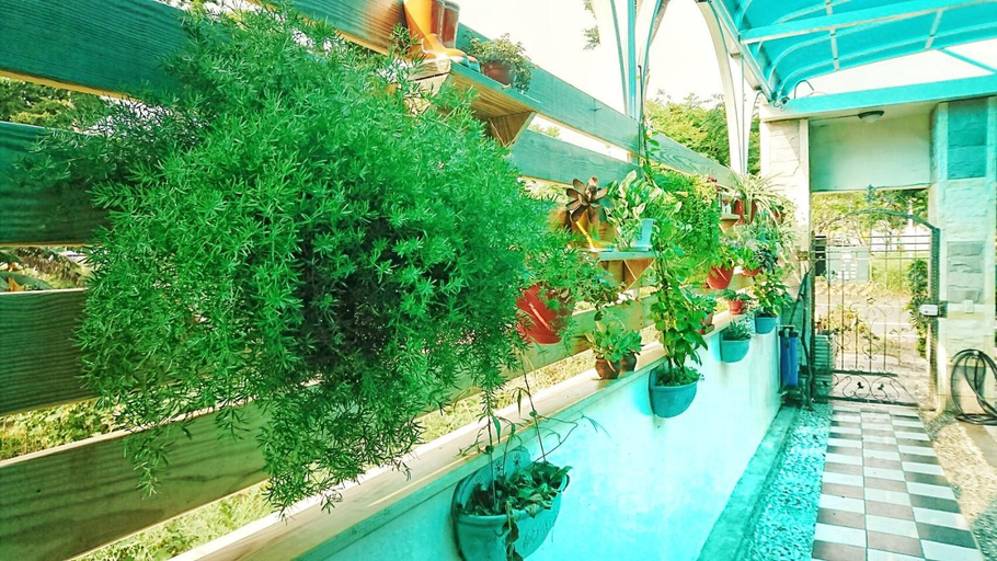 Sport & Beauty 4, Camellia B&B, Taitung