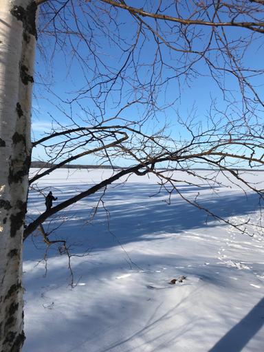 Others 4, House with private beach, North Savonia