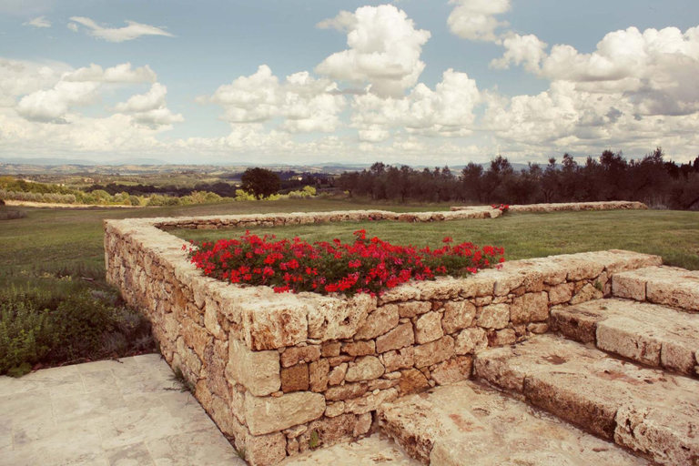 View 3, Agriturismo Humile, Siena
