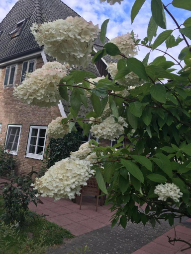 Exterior & Views 1, Gasthof Menke, Heidekreis
