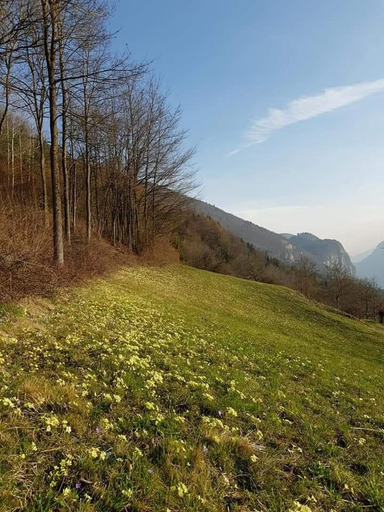 Others 3, Nido di Rondine B&B, Trento