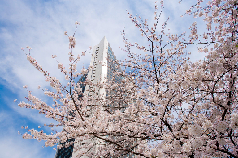 Exterior & Views 5, InterContinental - ANA TOKYO, Minato
