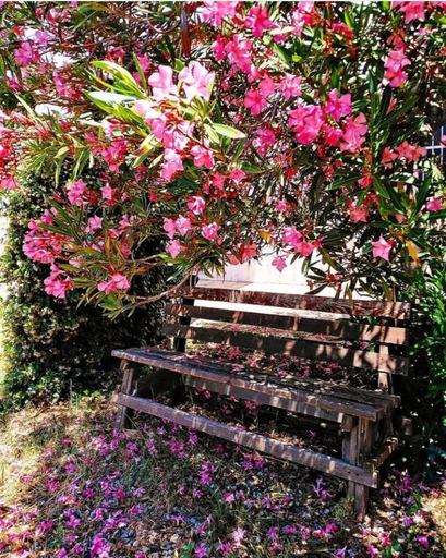 Others 4, Punto Verde B&B, Reggio Di Calabria