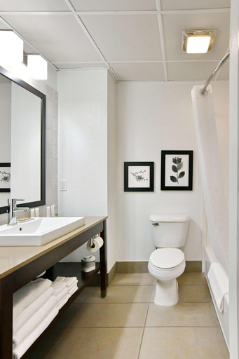 Bathroom 4, Country Inn & Suites by Radisson, Mount Morris, NY, Livingston