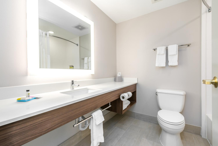 Bathroom, Holiday Inn Express Hotel & Suites Lagrange I-85 By IHG, Troup