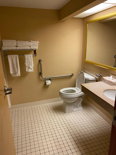 Bathroom 5, DoubleTree by Hilton Austin, Mower