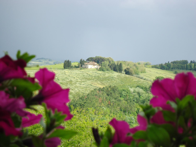 Others 5, Borgo Fajani, Pisa