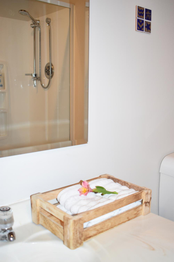 Bathroom, Olivista, Masterton