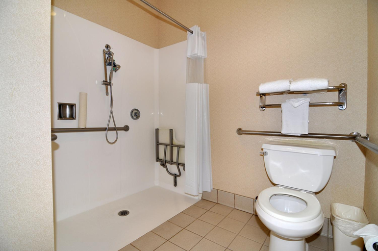 Bathroom 4, THE ATRIUM HOTEL SFO AIRPORT - FREE Shuttle & Breakfast, San Mateo