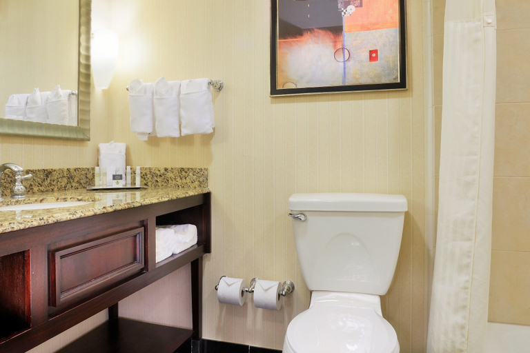 Bathroom 4, DoubleTree by Hilton Hotel Lafayette, Lafayette