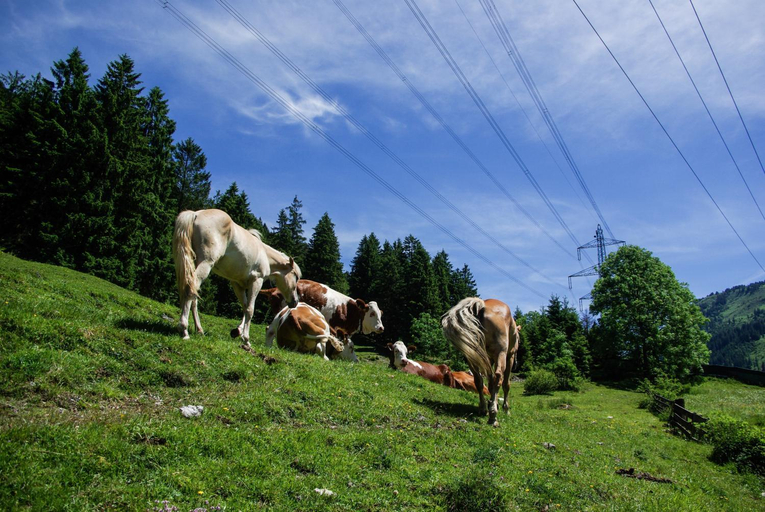 Others 2, Haus Kohlberghof, Reutte