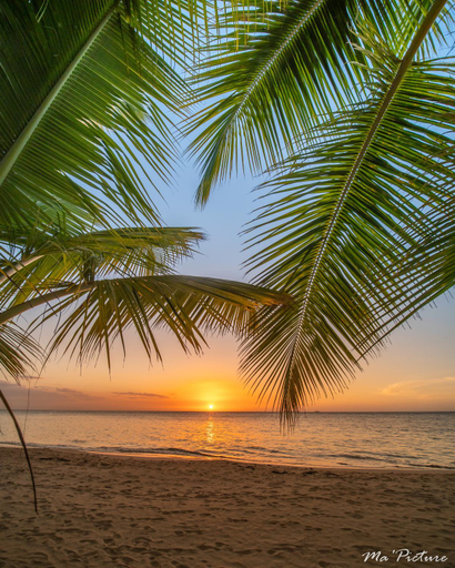 Others 4, Residence Villas Les Hibiscus, Las Terrenas
