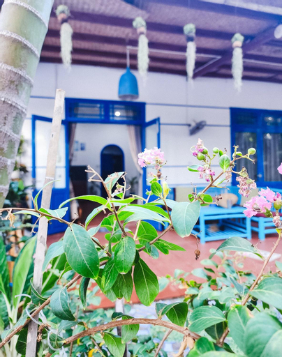 Dragon Sea Homestay, Hội An