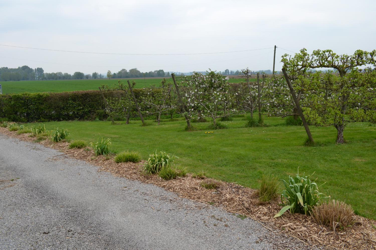 Others 5, Chambres D´Hotes Herbes Folles, Nord