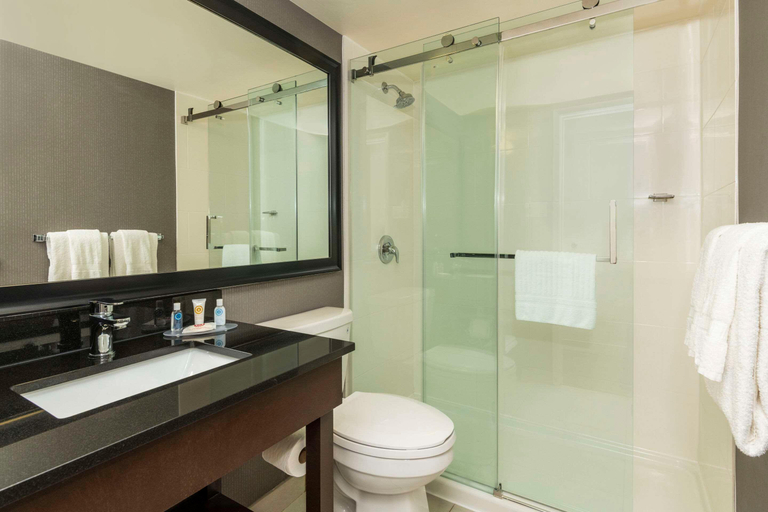 Bathroom 4, Comfort Inn Dryden, Kenora