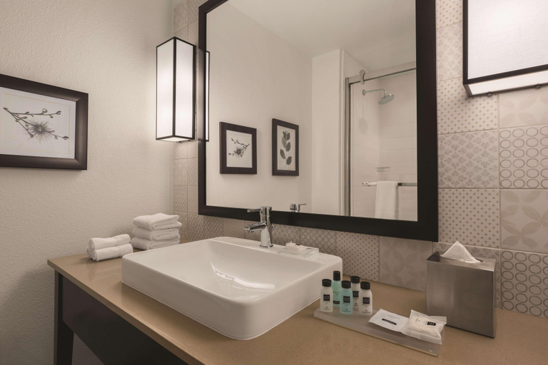 Bathroom 4, Country Inn&Suites Radisson Lubbock Southwest Tx, Lubbock