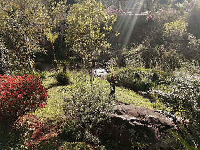 Others 3, Sabie Star, Ehlanzeni