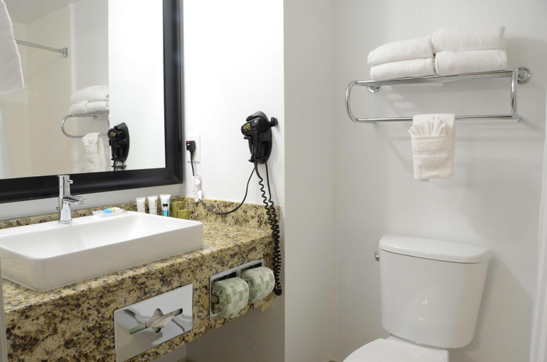 Bathroom, Country Inn & Suites By Radisson, Buford Mall, Gwinnett