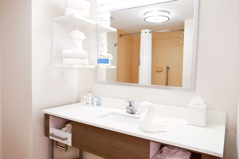 Bathroom 4, Hampton Inn & Suites Tampa-Wesley Chapel, Pasco
