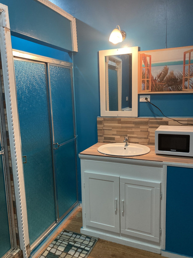 Bathroom 5, Carris, City of Georgetown