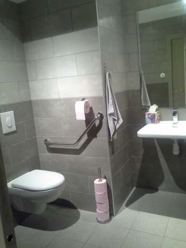 Bathroom 5, Logis hotel LE COR D'ARGENT, Cher